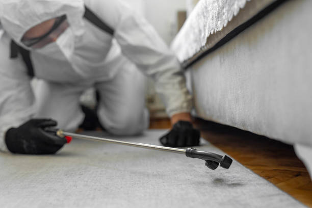 Professional Cockroach Control technician working in Worth, IL