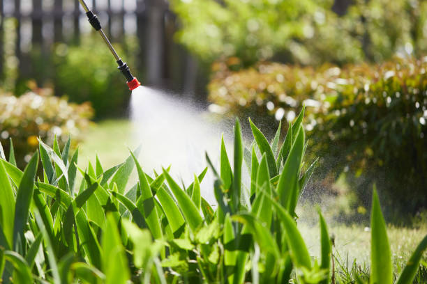 24/7 Emergency Cockroach Control experts in Worth, IL